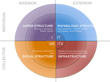 The emergence model.png